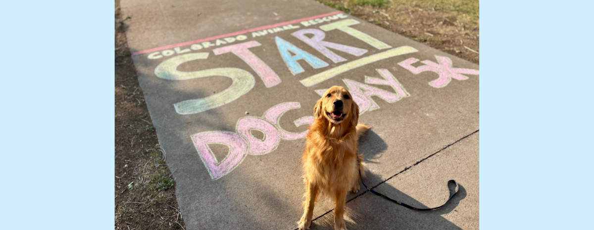 2026 Dog Day 5K